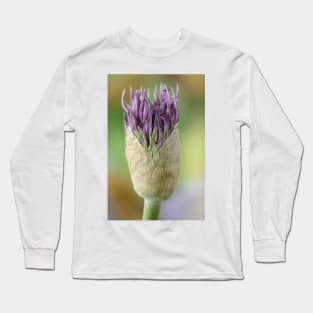 Allium  &#39;Powder Puff&#39;  AGM  Ornamental onion Long Sleeve T-Shirt